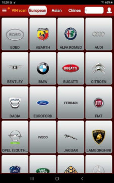 Facem Diagnoza auto